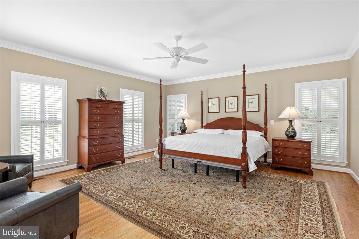 10042 Cedar Spring Lane Culpeper, VA 22701 - Photo 43 of 111 Main level primary suite
