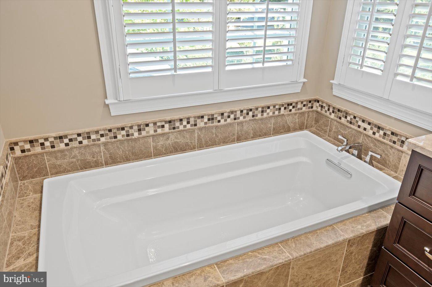 10042 Cedar Spring Lane Culpeper, VA 22701 - Photo 54 of 111 Soaking tub
