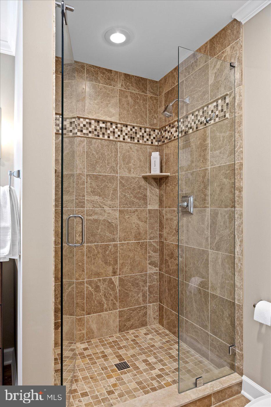 10042 Cedar Spring Lane Culpeper, VA 22701 - Photo 55 of 111 Glass enclosed tiled shower