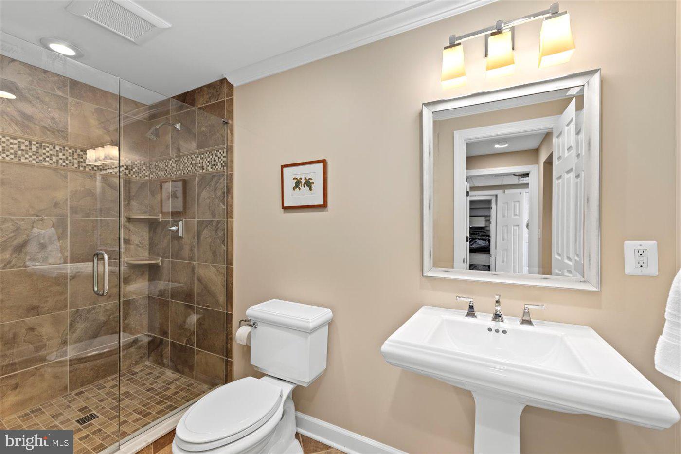 10042 Cedar Spring Lane Culpeper, VA 22701 - Photo 65 of 111 Full bath with tiled walk-in shower