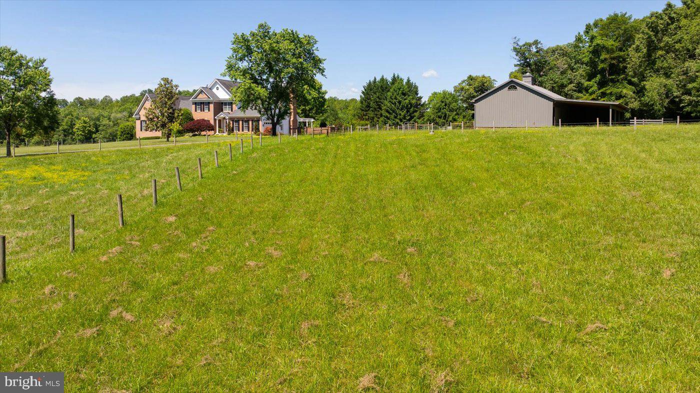 10042 Cedar Spring Lane Culpeper, VA 22701 - Photo 100 of 111 Pasture