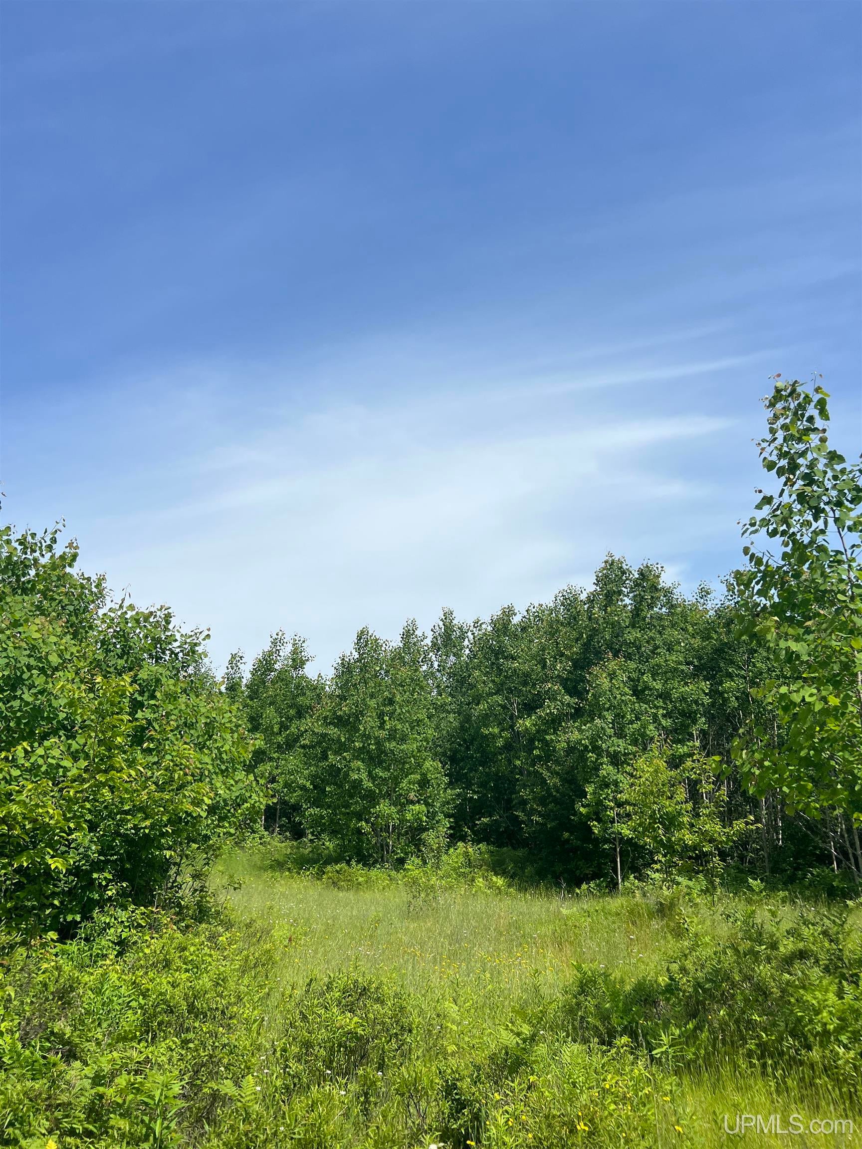 Tbd Chalk Hills Road Daggett, MI 49821 - Photo 50 of 59 Gallery Image 50