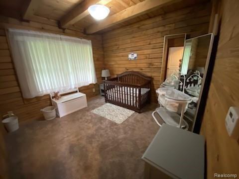 5379 Summers Road North Branch, MI 48461 - Photo 40 of 40