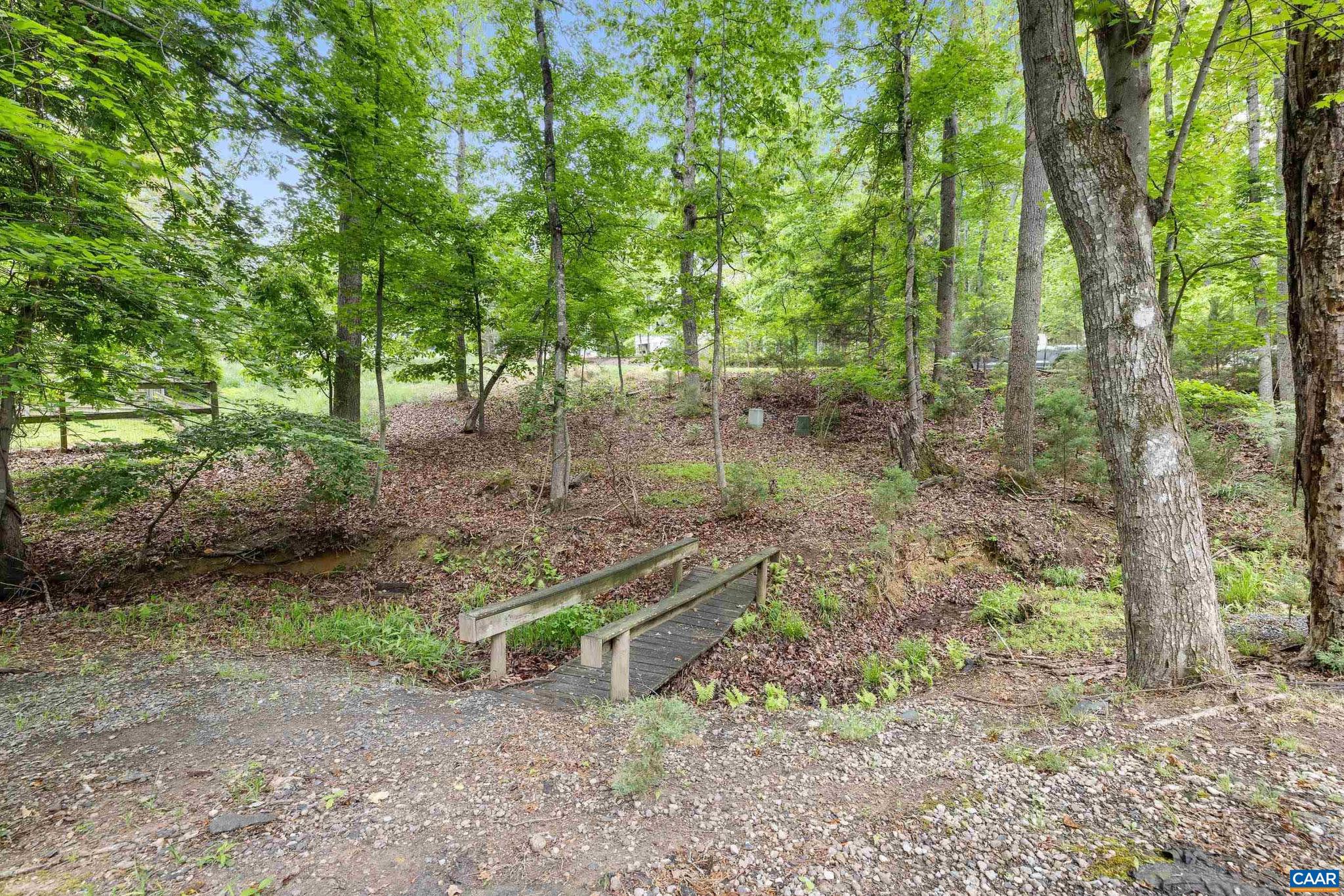 21 Ashton Road Palmyra, VA 22963 - Photo 35 of 35 a view of a forest with trees