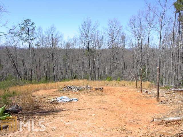0 Richardson Road Sautee Nacoochee, GA 30571 - Photo 1 of 1 Gallery Image 1