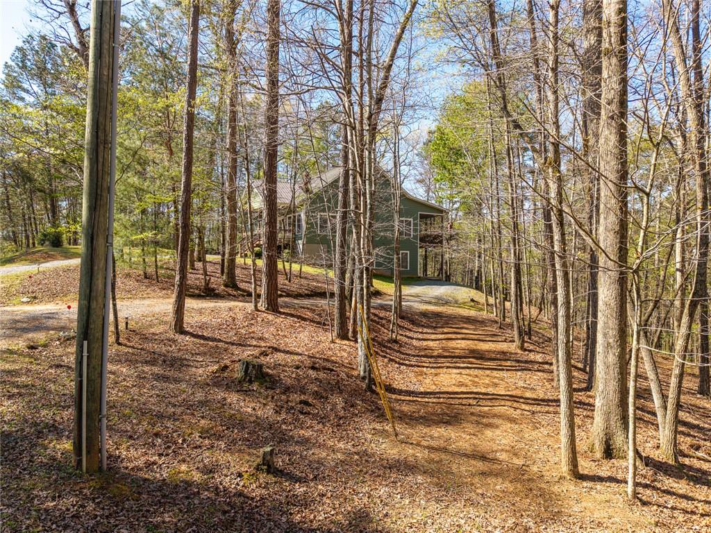 144 Monet Drive Ellijay, GA 30540 - Photo 49 of 60
