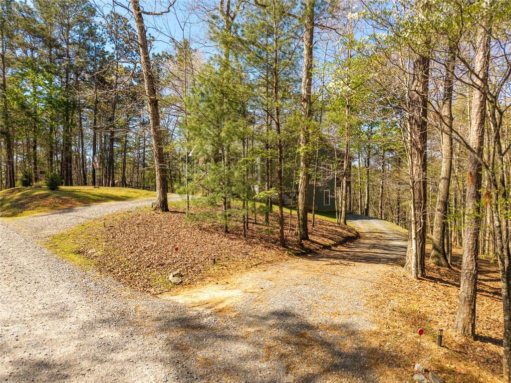 144 Monet Drive Ellijay, GA 30540 - Photo 50 of 60