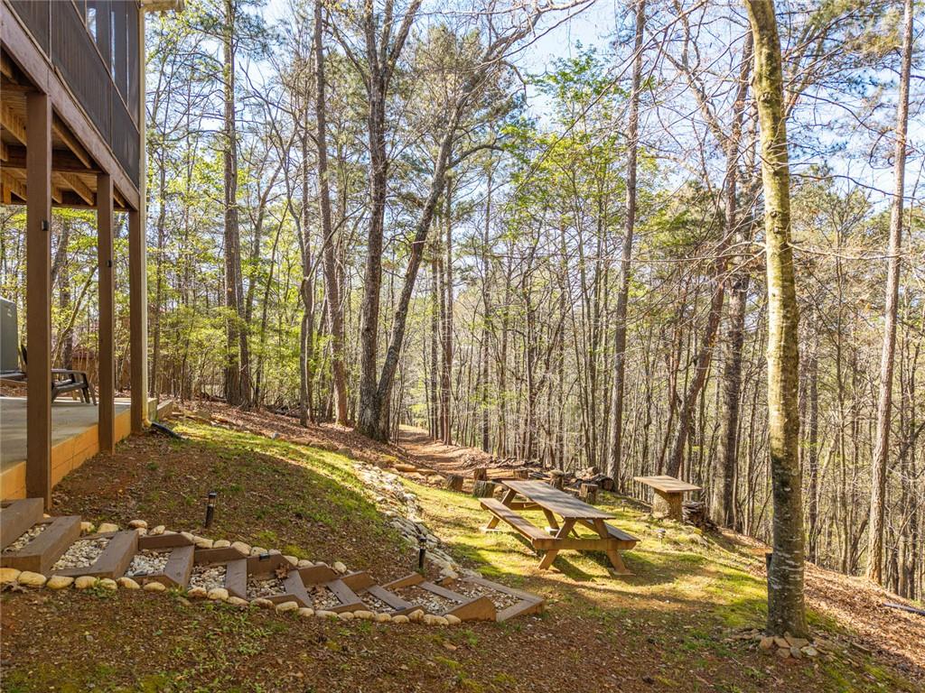 144 Monet Drive Ellijay, GA 30540 - Photo 54 of 60