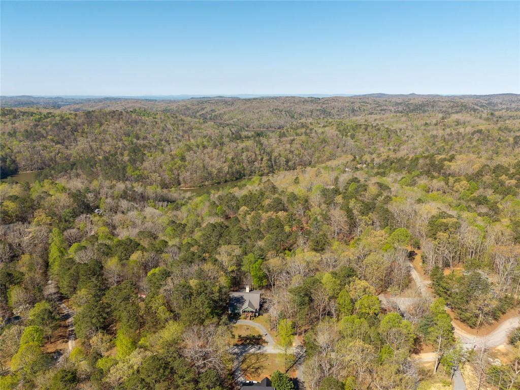 144 Monet Drive Ellijay, GA 30540 - Photo 59 of 60