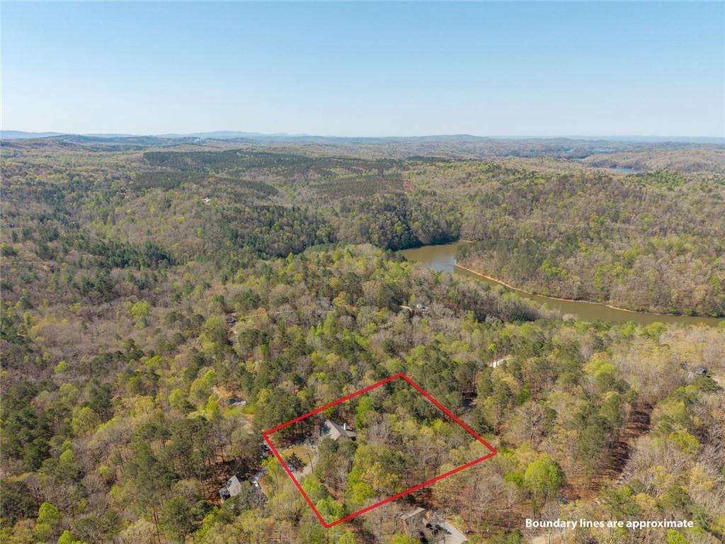 144 Monet Drive Ellijay, GA 30540 - Photo 60 of 60