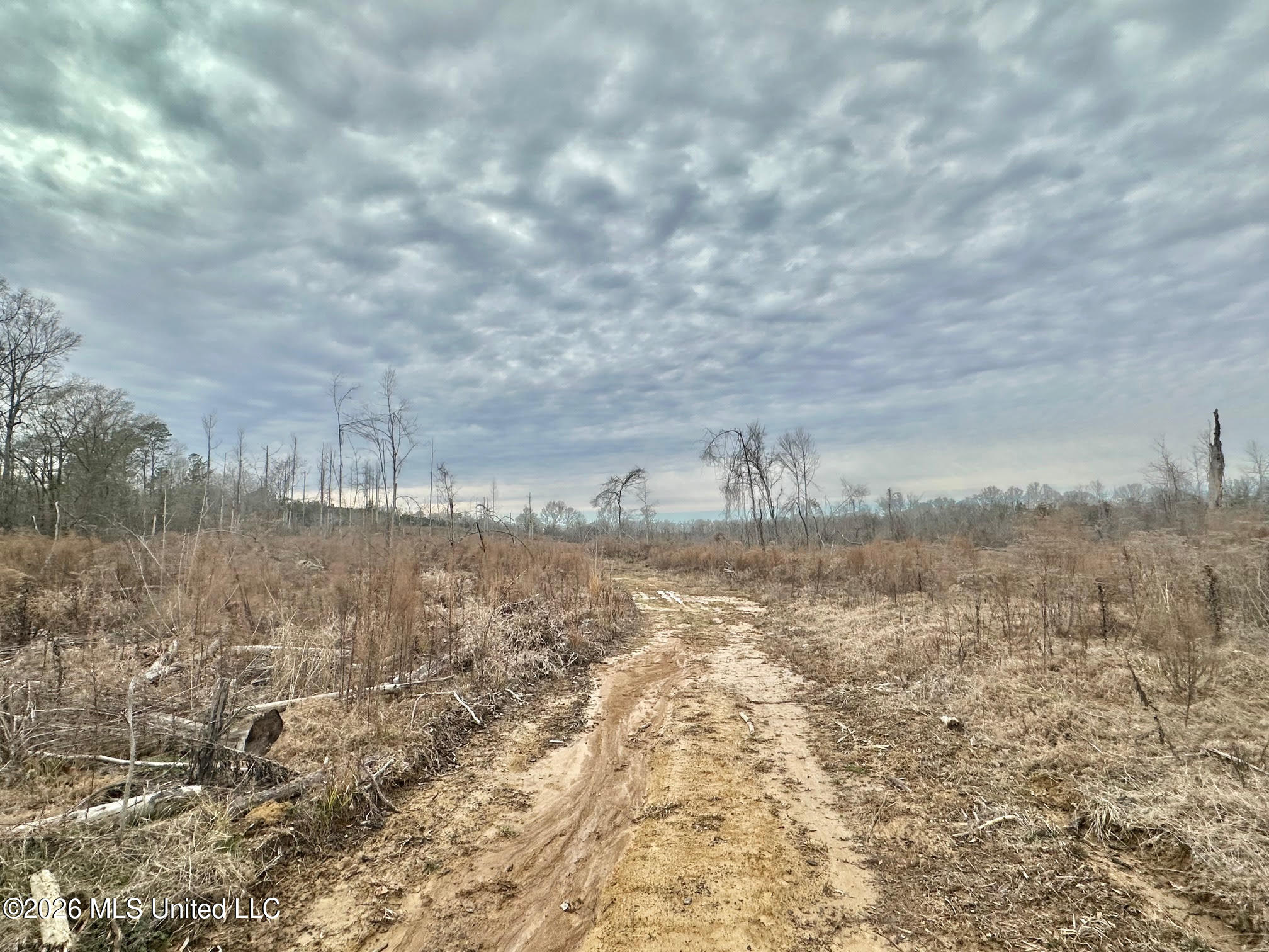 0 Prentiss Crump Road Utica, MS 39175 - Photo 11 of 15 661 - Copy