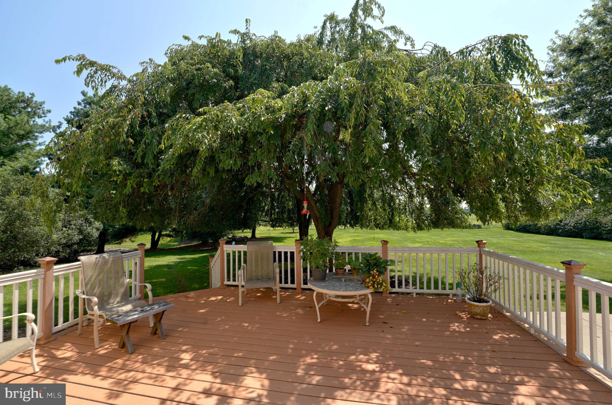 276 Warren Drive Wrightstown, NJ 08562 - Photo 37 of 44