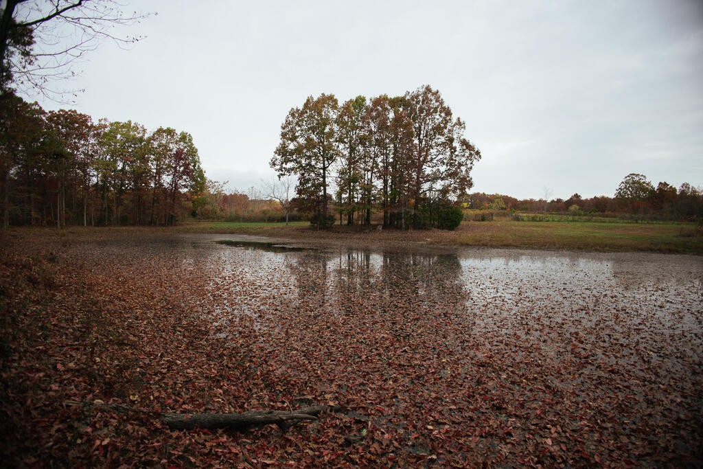 0 Reed Lane Soddy-Daisy, TN 37379 - Photo 10 of 47 Gallery Image 10