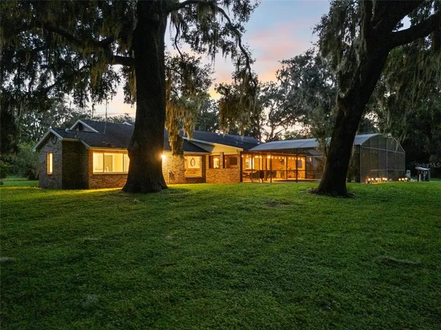 a view of a trees in a yard