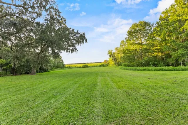 a backyard of a house with lots of green space