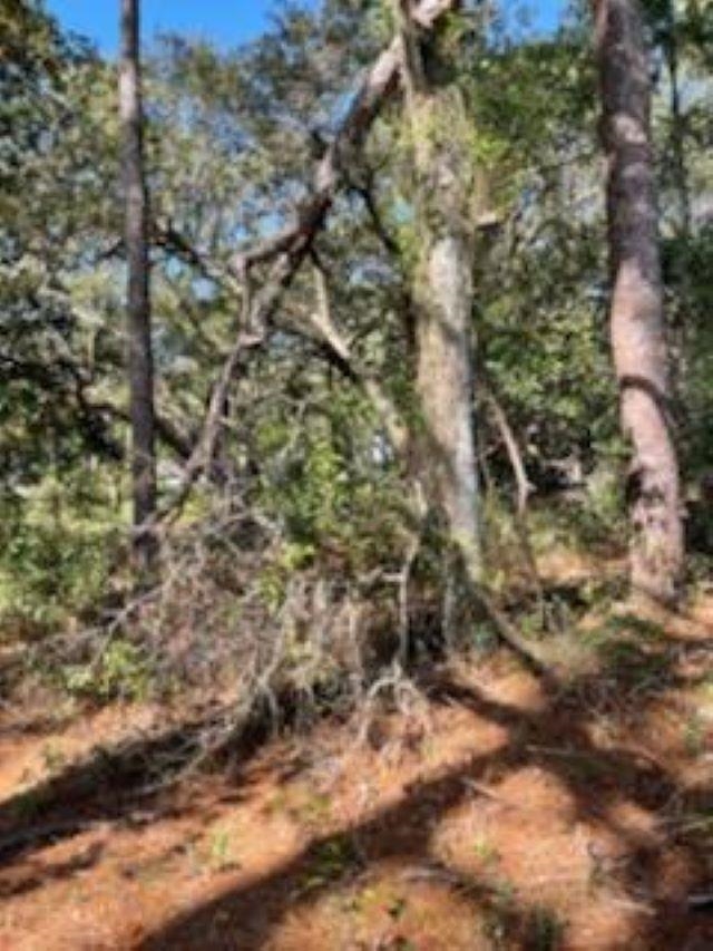 Callaway Road Gulf Shores, AL 36542 - Photo 3 of 6