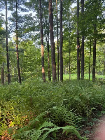 a view of outdoor space and a yard