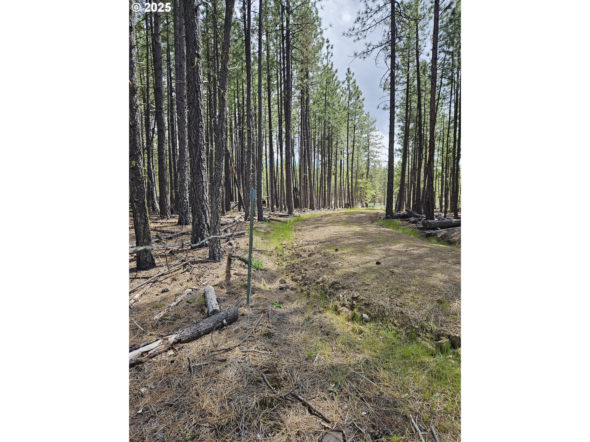 2 Hawks Wind Road Goldendale, WA 98620 - Photo 11 of 13 Property Entrance