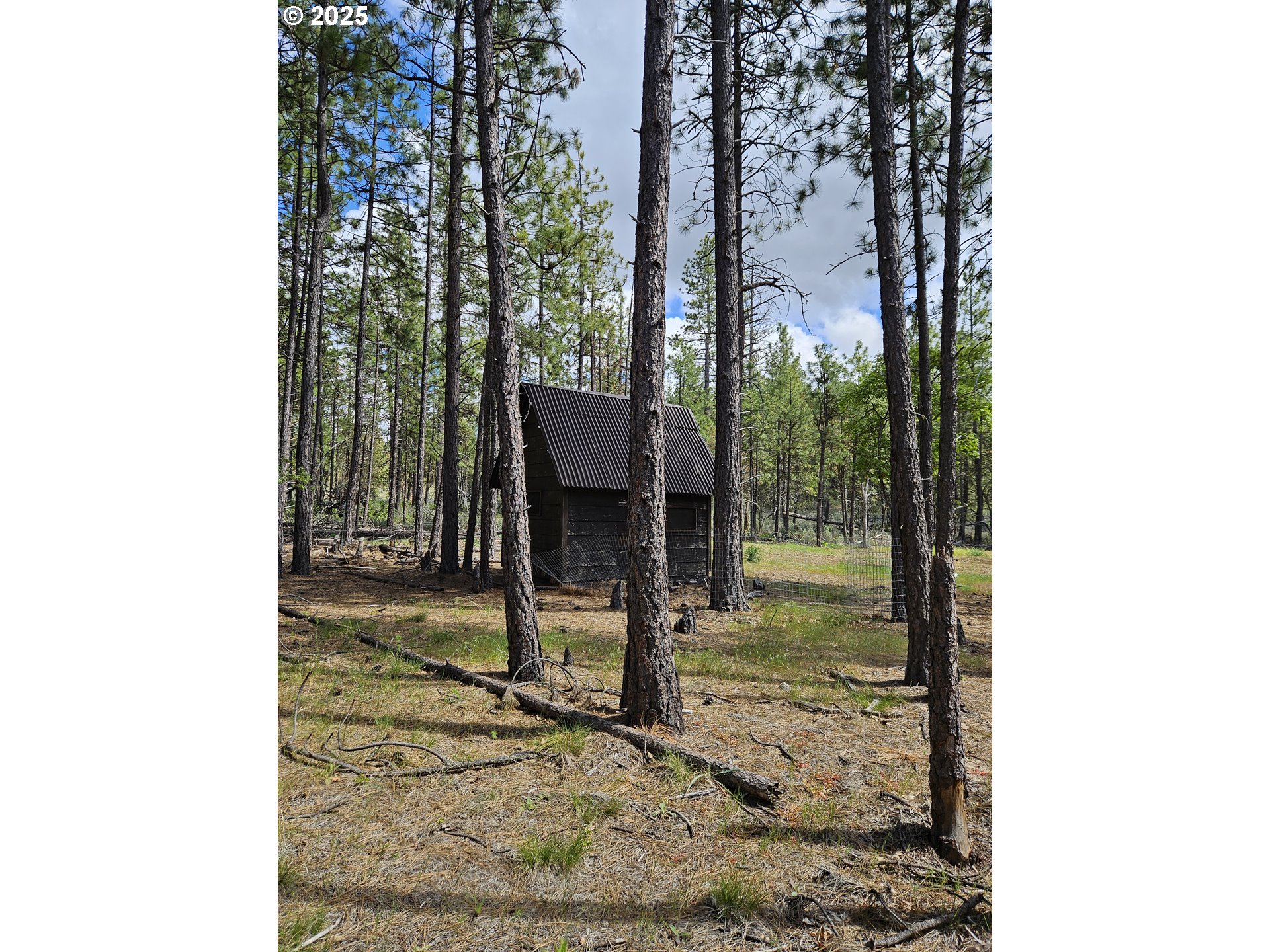 2 Hawks Wind Road Goldendale, WA 98620 - Photo 12 of 13 Shed