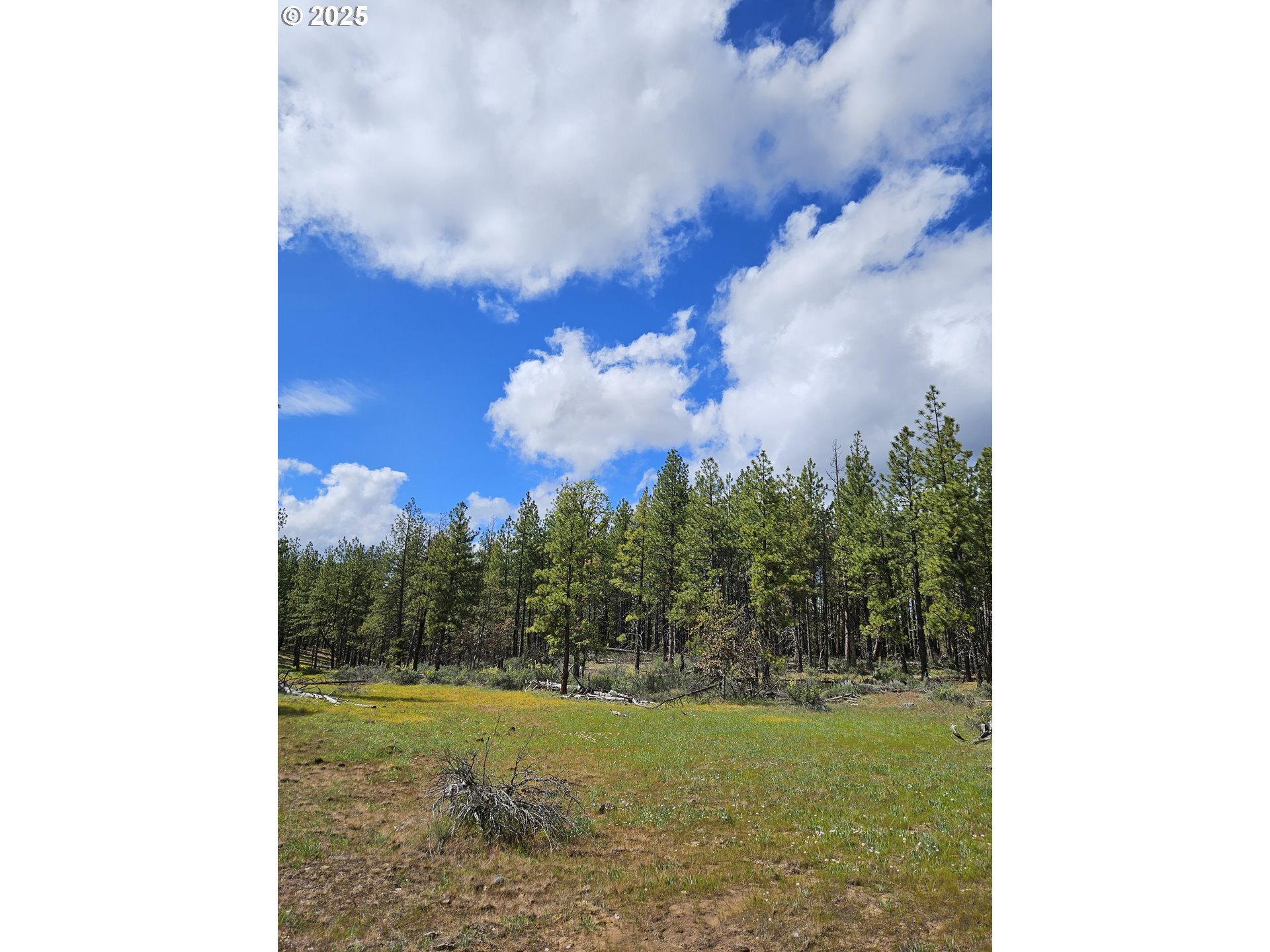 2 Hawks Wind Road Goldendale, WA 98620 - Photo 2 of 13 Pasture