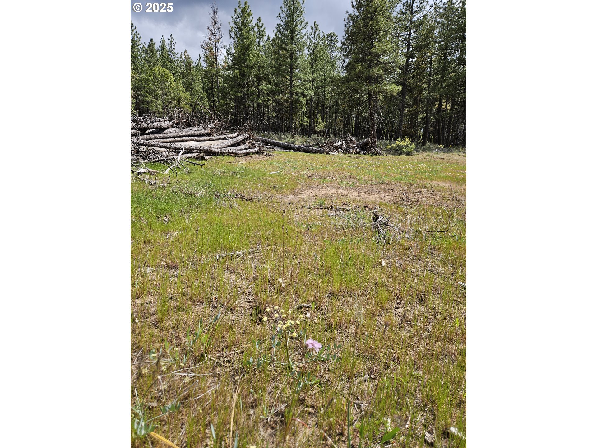 2 Hawks Wind Road Goldendale, WA 98620 - Photo 4 of 13 Gallery Image 4