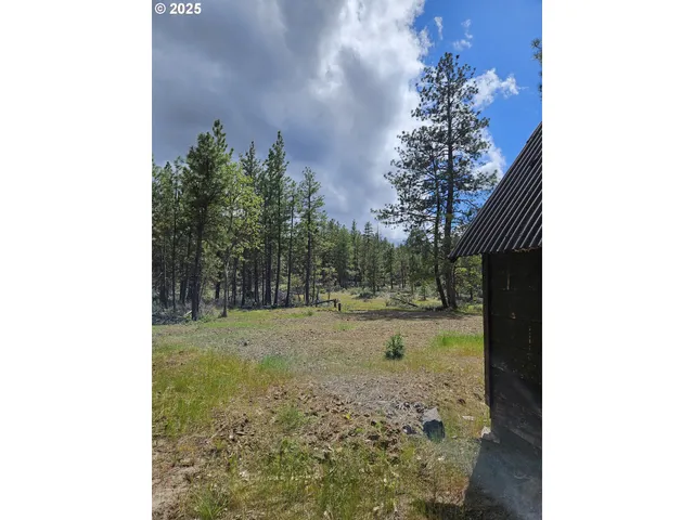 a view of a yard with trees