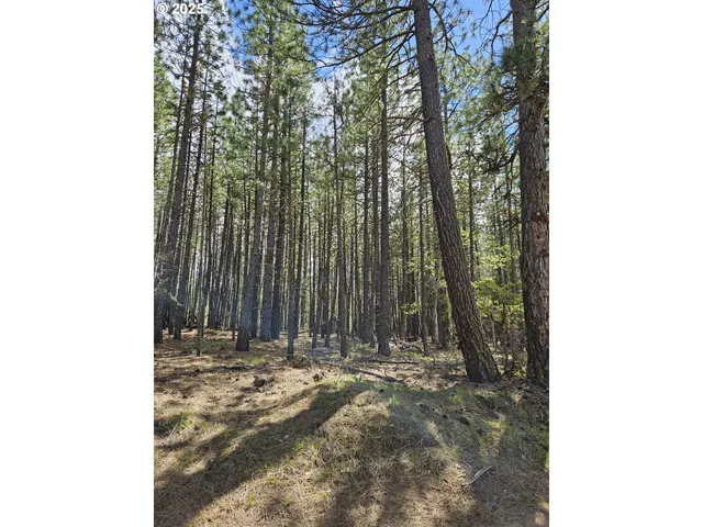a view of outdoor space with trees