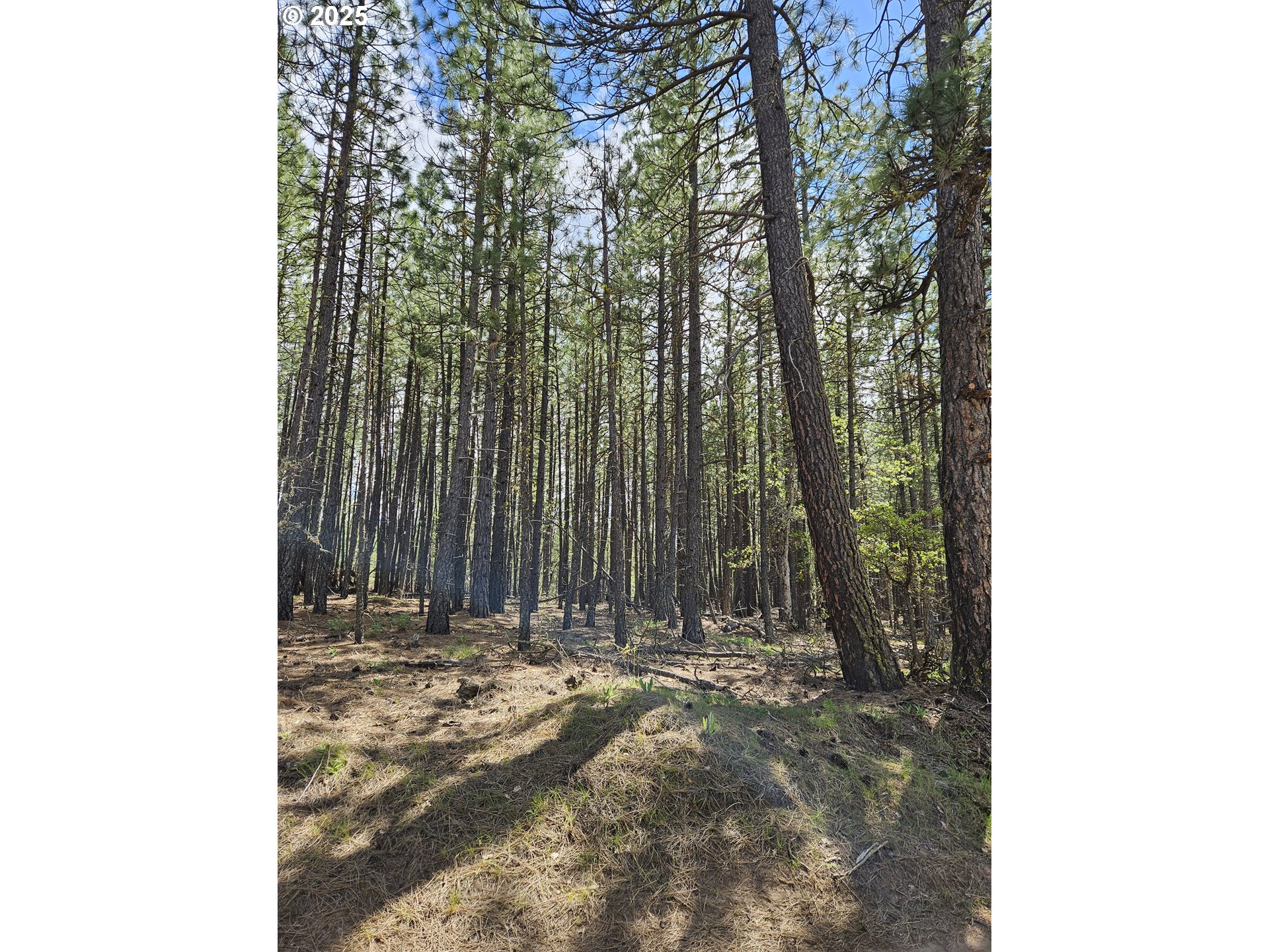 2 Hawks Wind Road Goldendale, WA 98620 - Photo 10 of 13 Gallery Image 10