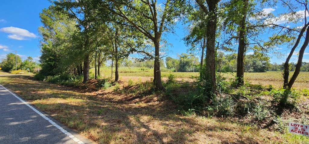 92 County Road 92 Slocomb, AL 36375 - Photo 3 of 32