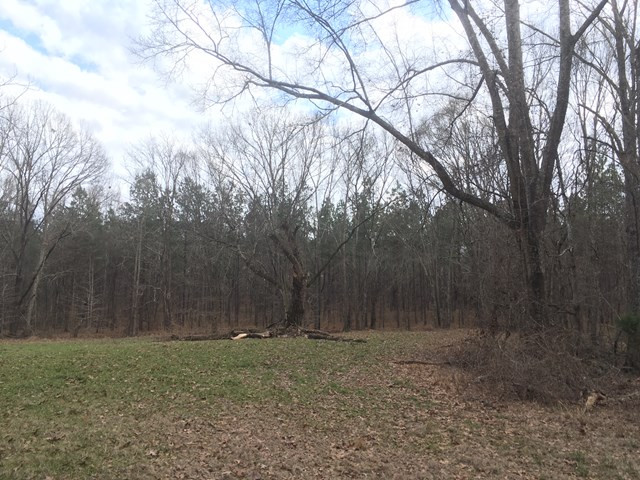 2050 Forest Grove Road Pattison, MS 39144 - Photo 1 of 1 Main View