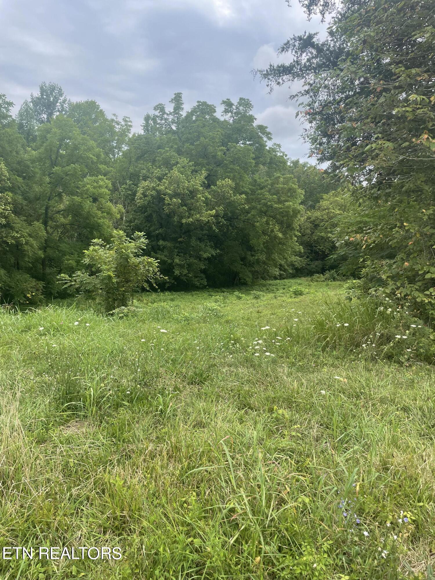 Hinds Creek Rd Road Andersonville, TN 37705 - Photo 2 of 10 IMG_6842