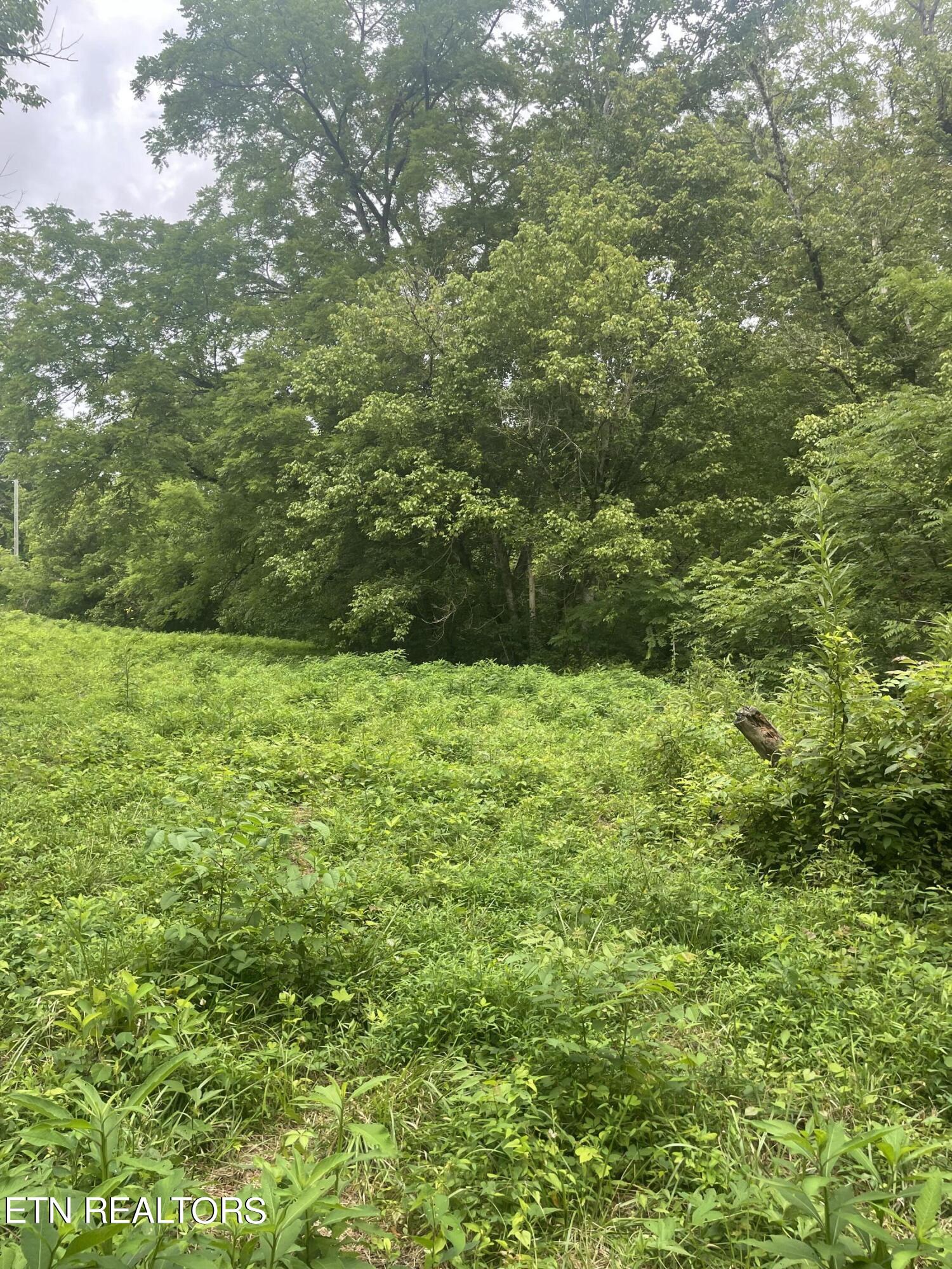 Hinds Creek Rd Road Andersonville, TN 37705 - Photo 5 of 10 IMG_6840