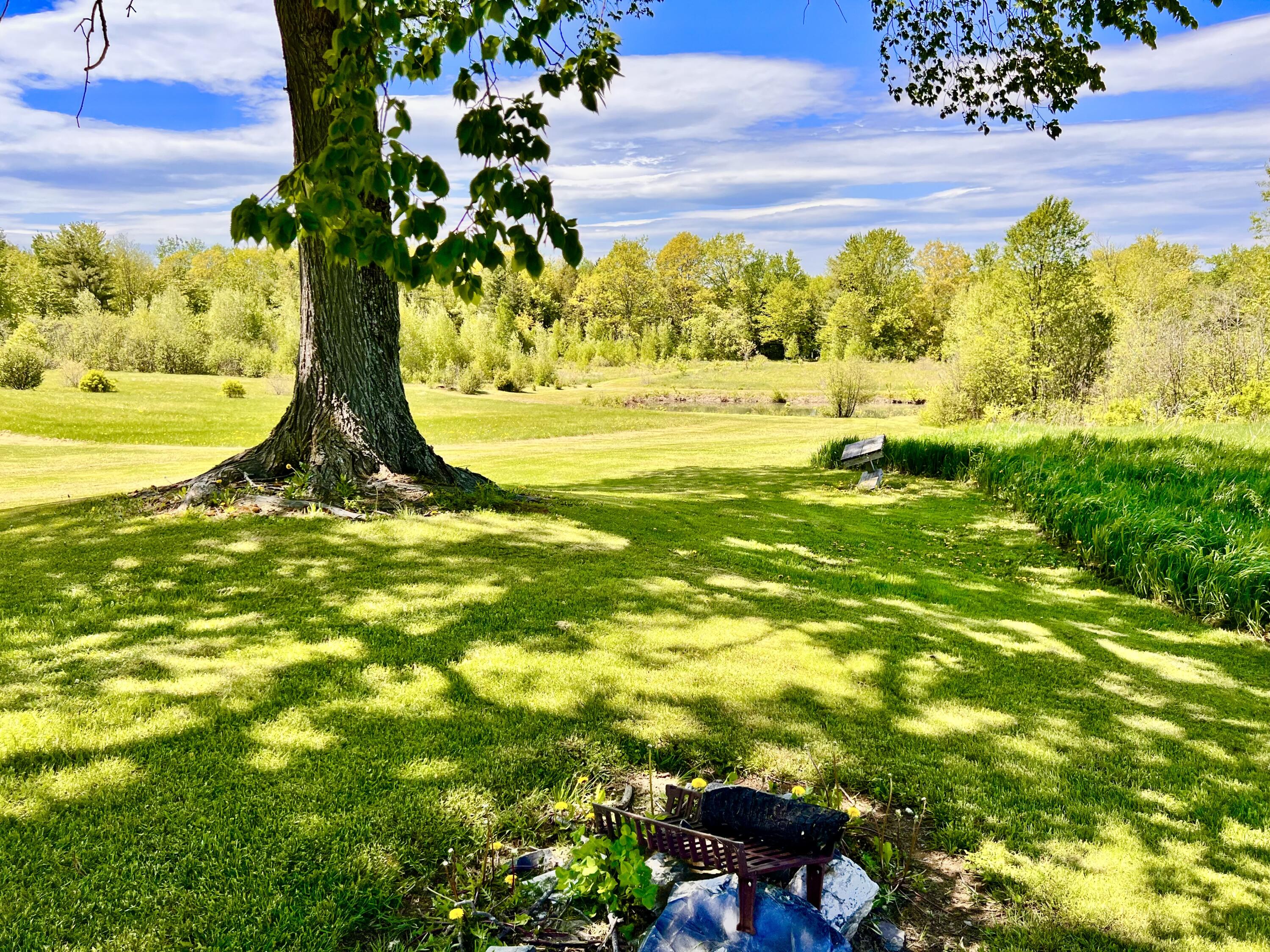138 Reardon Road Milo, ME 04463 - Photo 6 of 123 Sit under the Walnut Tree