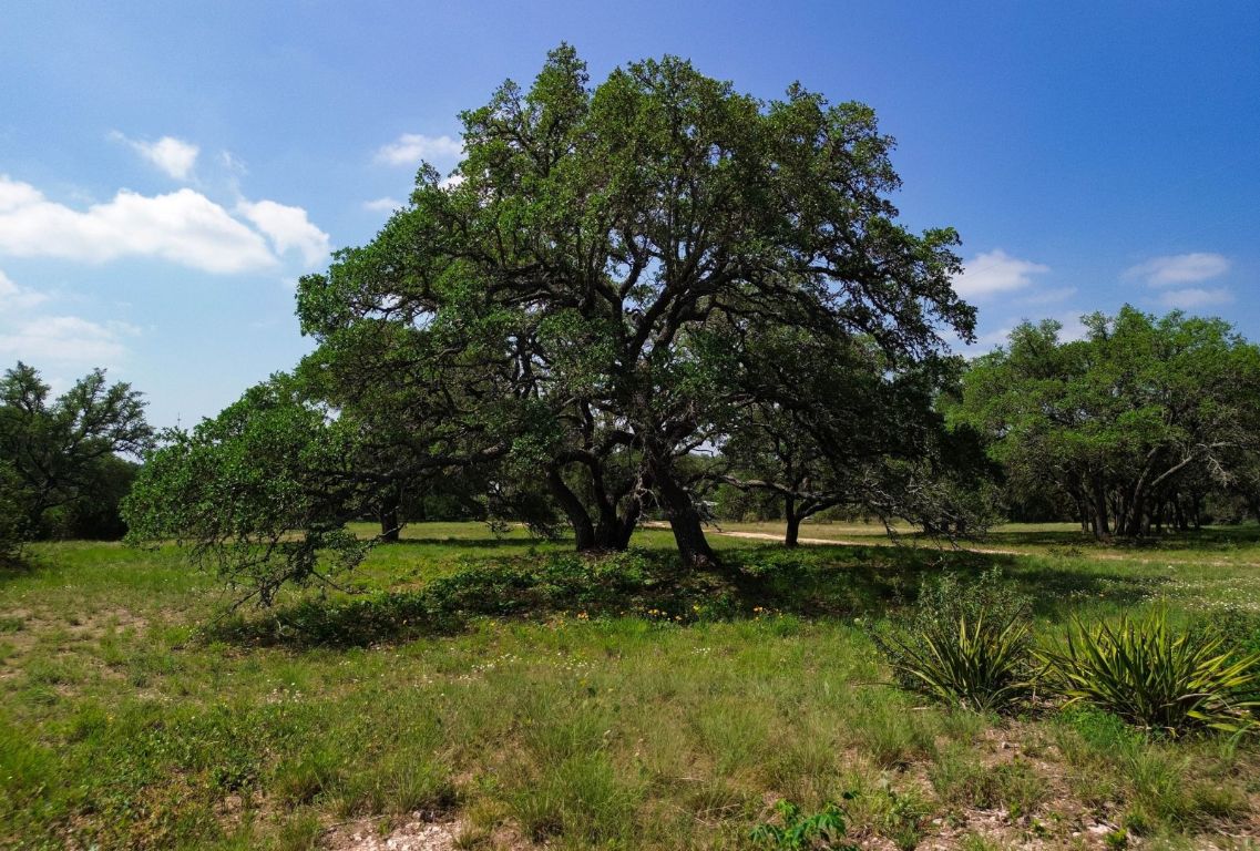 1037 Ranch Road 962 West Round Mountain, TX 78663 - Photo 30 of 40 a view of outdoor space with deck and green space