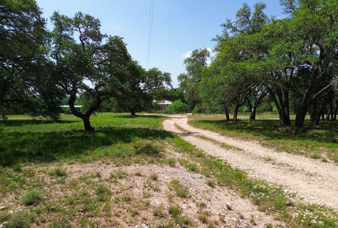 1037 Ranch Road 962 West Round Mountain, TX 78663 - Photo 6 of 40 a view of park with trees