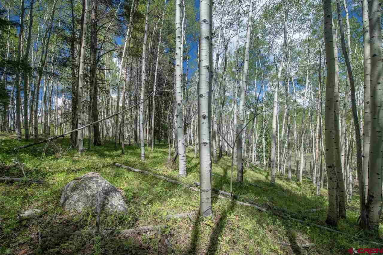 Tbd Tbd Hidden Mine Road Crested Butte, CO 81224 - Photo 13 of 33 Gallery Image 13