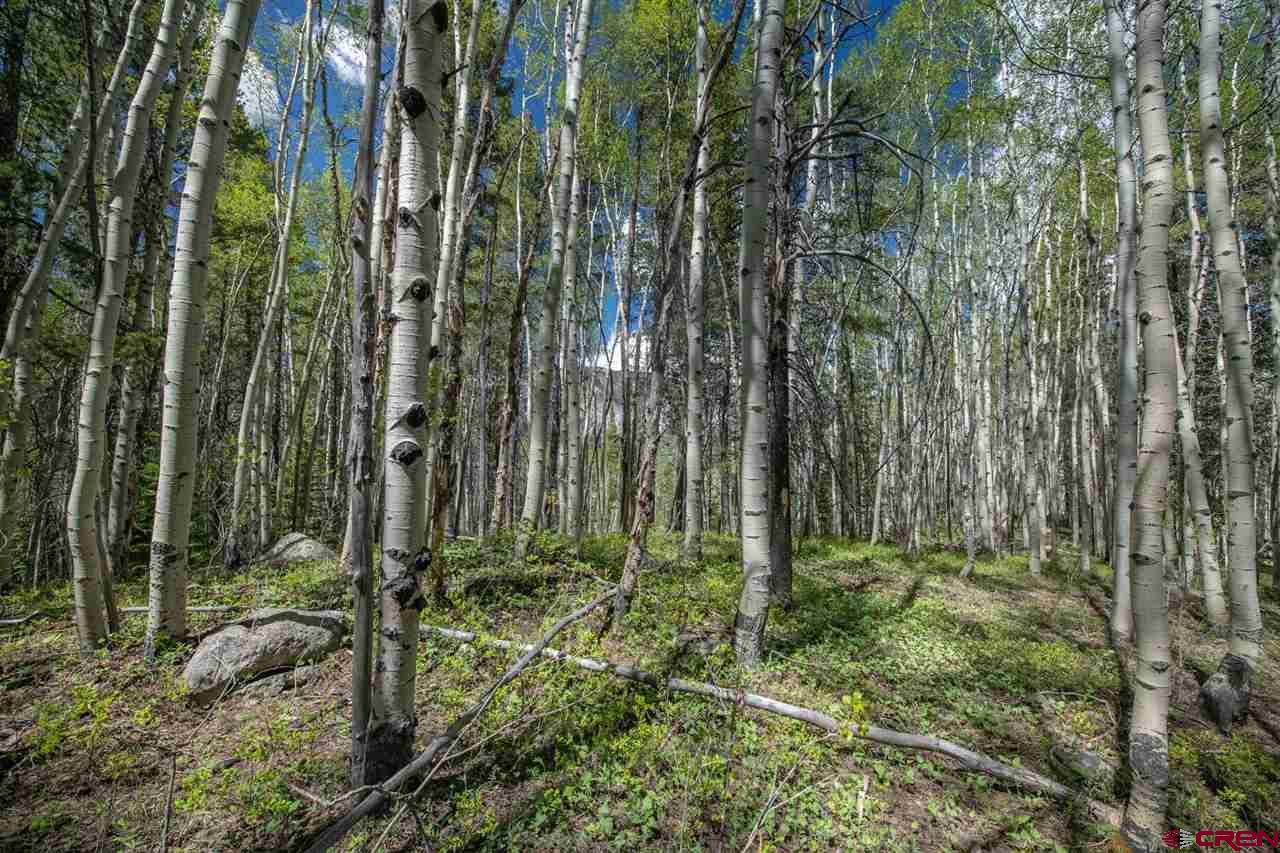 Tbd Tbd Hidden Mine Road Crested Butte, CO 81224 - Photo 14 of 33 Gallery Image 14
