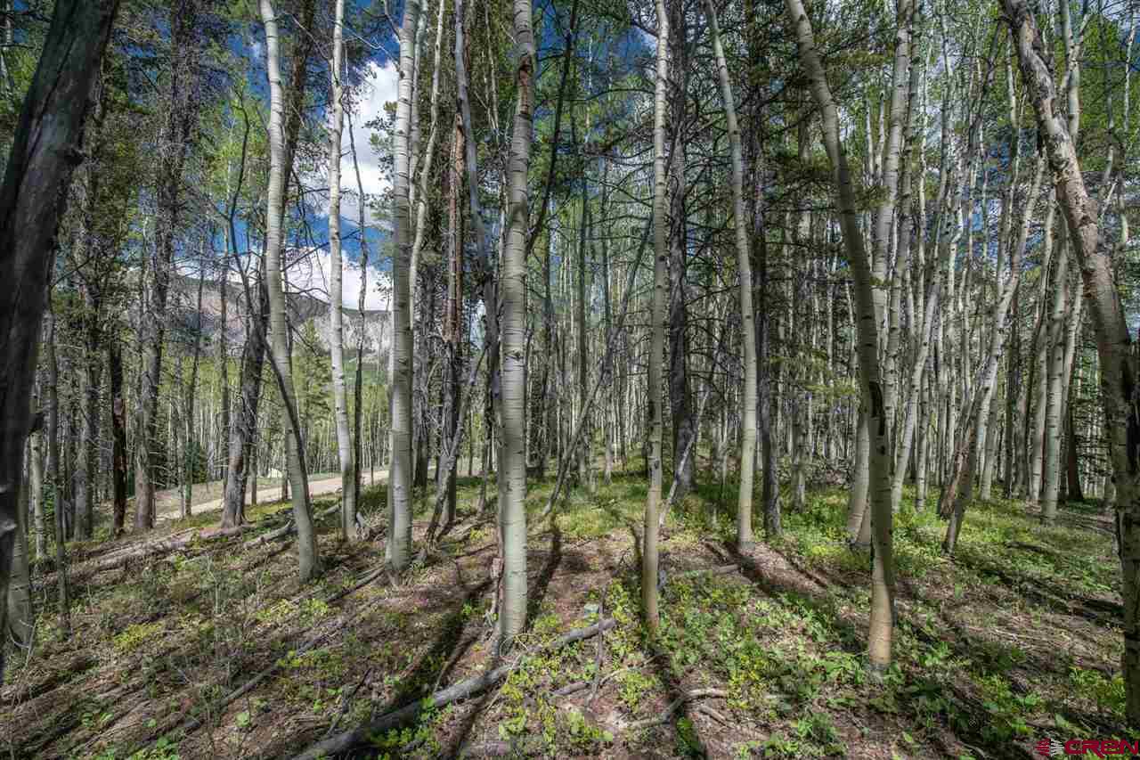 Tbd Tbd Hidden Mine Road Crested Butte, CO 81224 - Photo 18 of 33 Gallery Image 18