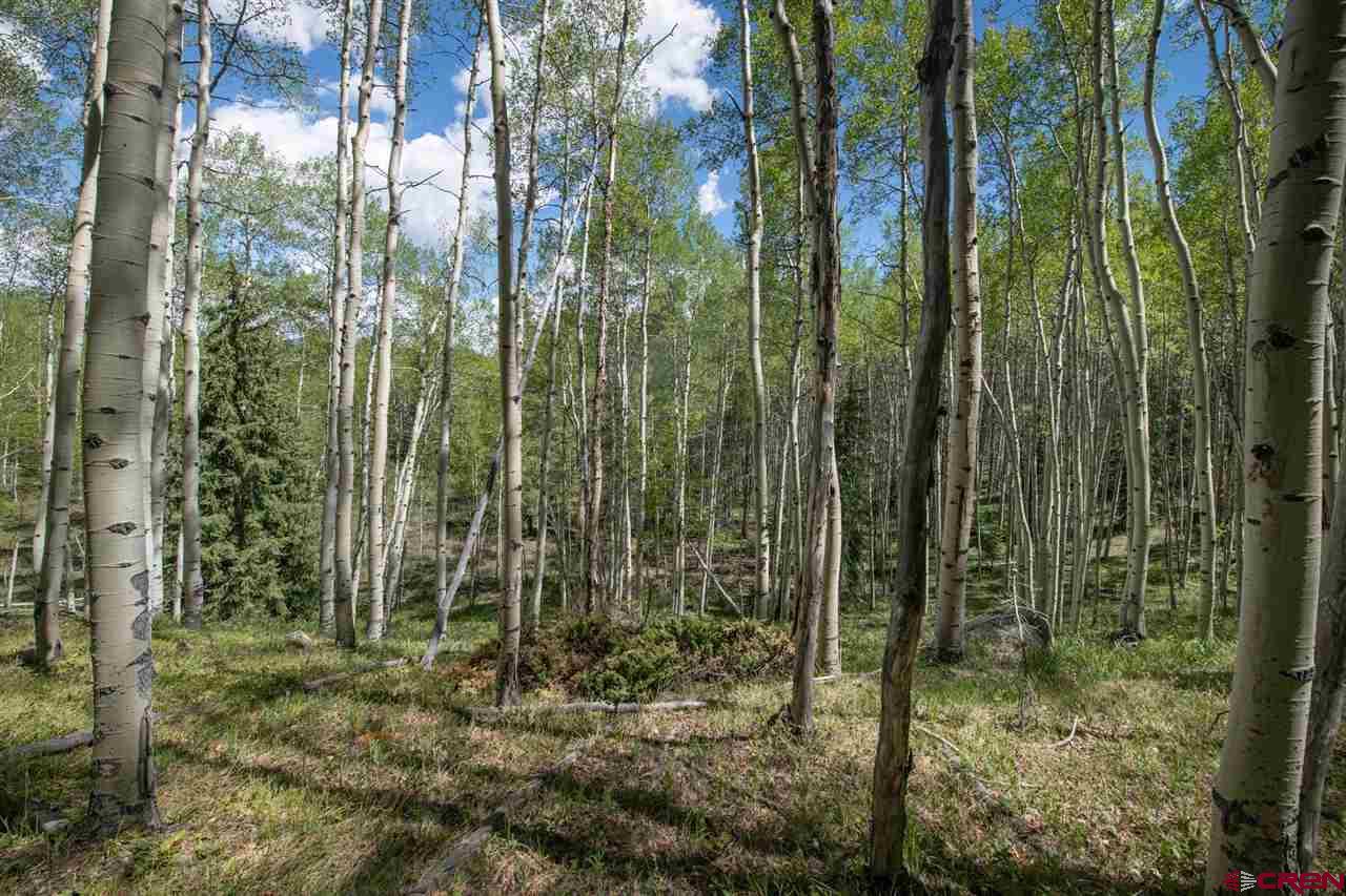 Tbd Tbd Hidden Mine Road Crested Butte, CO 81224 - Photo 9 of 33 Gallery Image 9