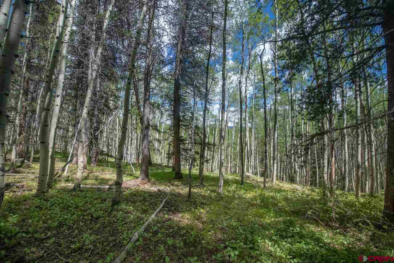 Tbd Tbd Hidden Mine Road Crested Butte, CO 81224 - Photo 10 of 33 Gallery Image 10