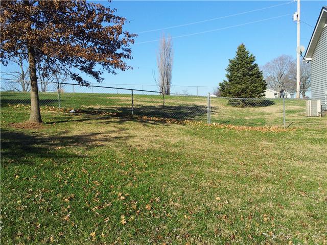 208 Cherry Street Adams, TN 37010 - Photo 3 of 11 Gallery Image 3