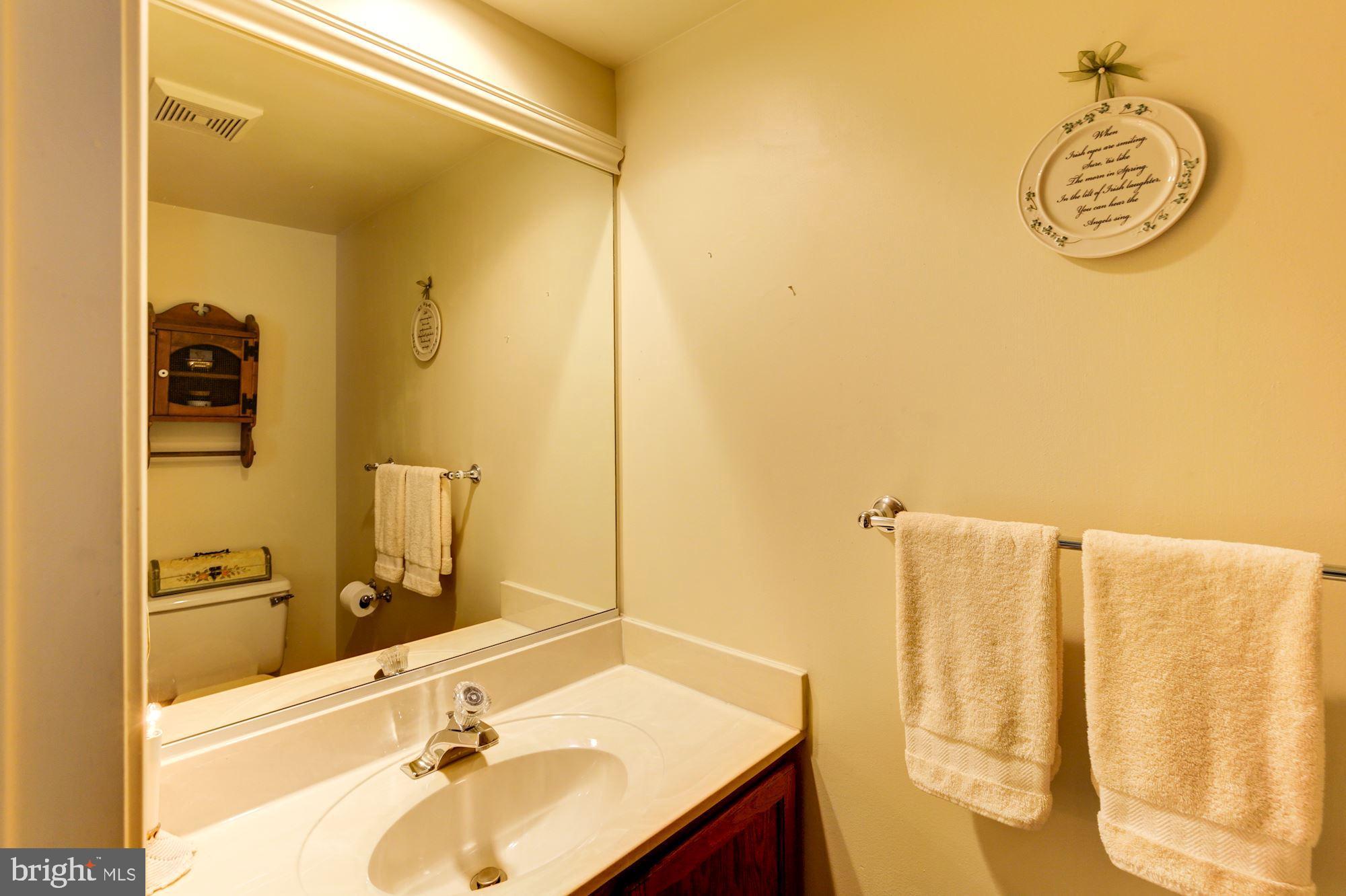 3284 Elmmede Road Ellicott City, MD 21042 - Photo 24 of 51 Powder Room