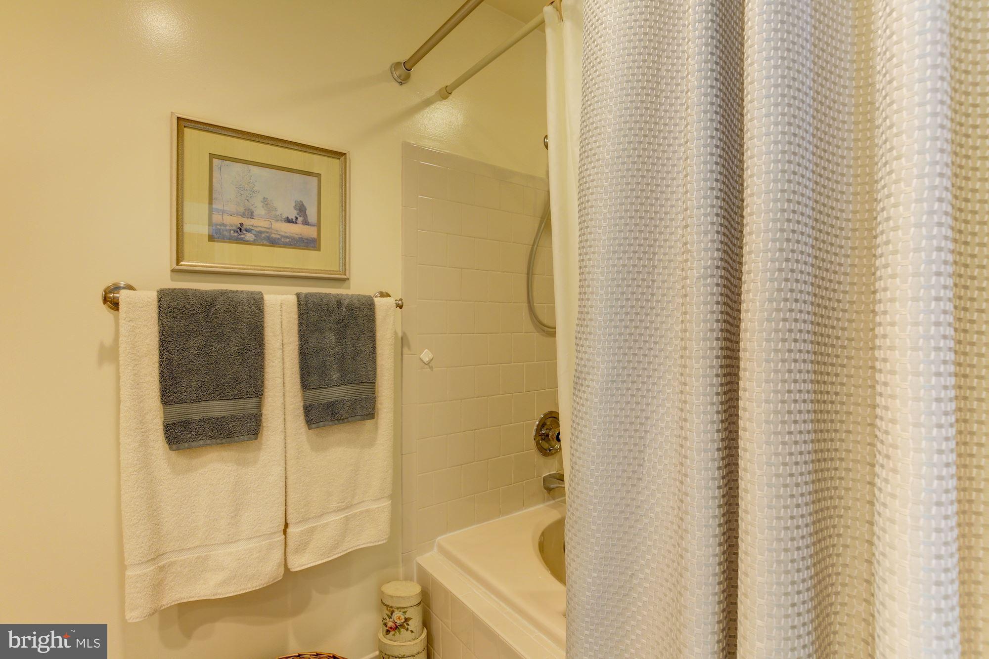 3284 Elmmede Road Ellicott City, MD 21042 - Photo 31 of 51 Master Bathroom