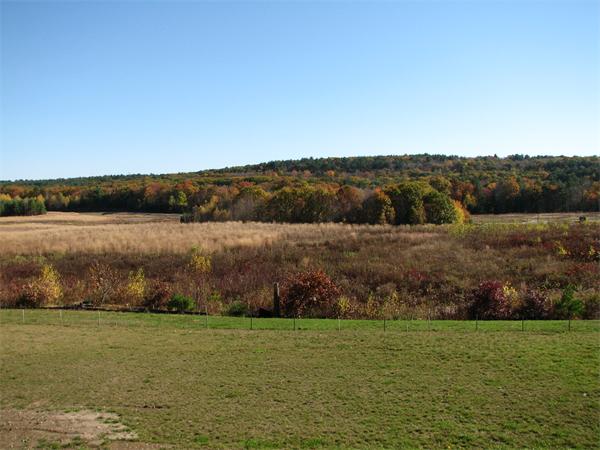 15 D Trail Ridge Way, Unit 52 Harvard, MA 01451 - Photo 27 of 29 a view of a lake with houses in the background
