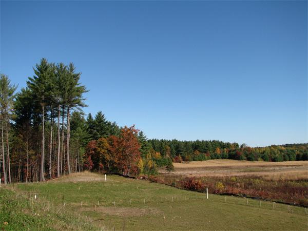 15 D Trail Ridge Way, Unit 52 Harvard, MA 01451 - Photo 28 of 29 a view of a lake with a yard