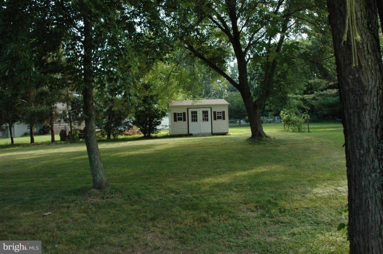 rear yard with storage shed