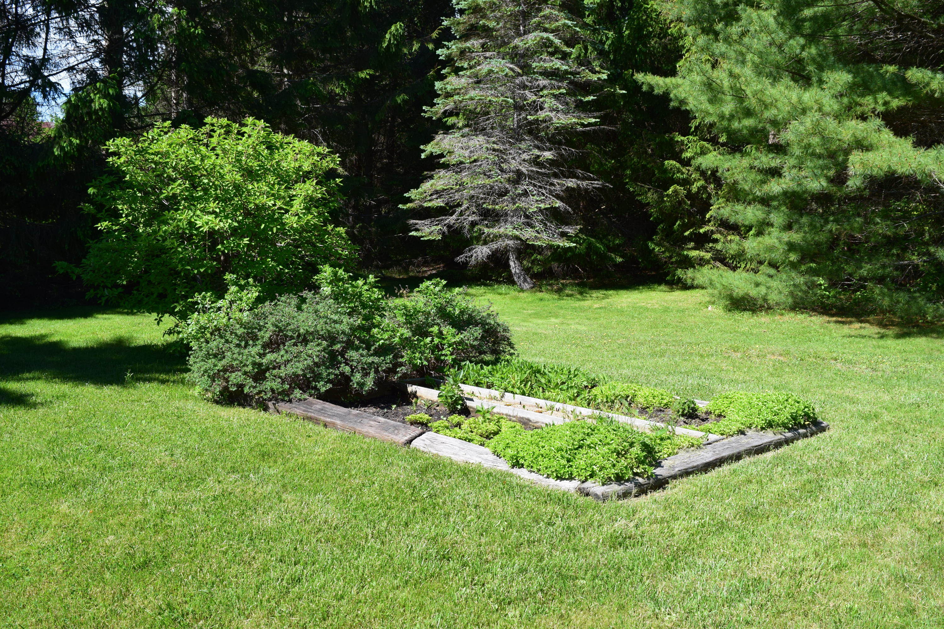 570 Newbury Neck Road Surry, ME 04684 - Photo 20 of 48 570 Newbury Neck Drone Pix Surry 022