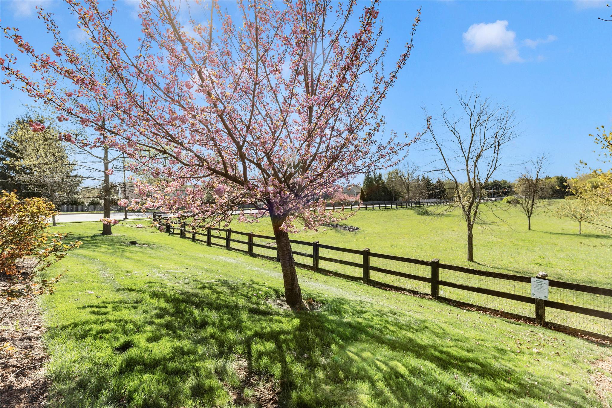 100 Sunlight Drive Frederick, MD 21702 - Photo 24 of 75 Yard backing up to open space