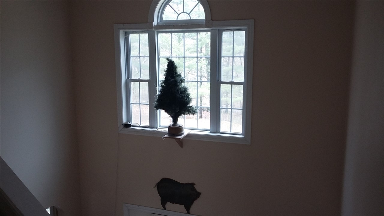 275 Bullocks Crossing Road Grafton, NH 03240 - Photo 25 of 39