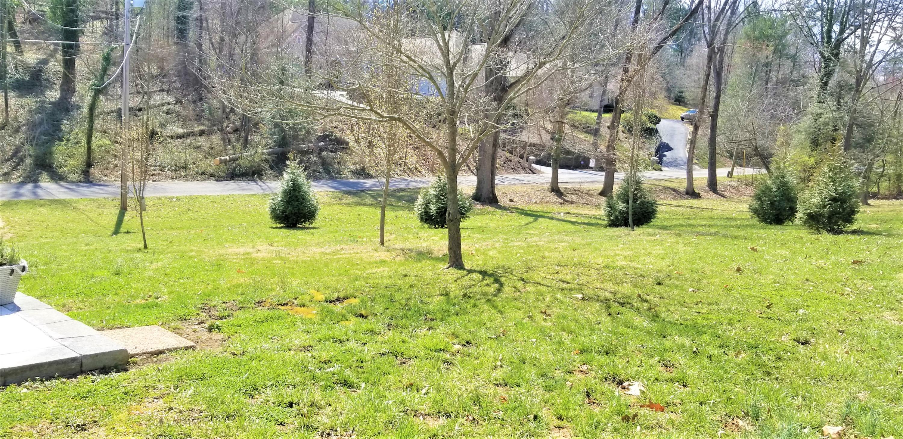 2083 Lee Hi Road Southwest Roanoke, VA 24018 - Photo 12 of 12 Lee back yard (2)
